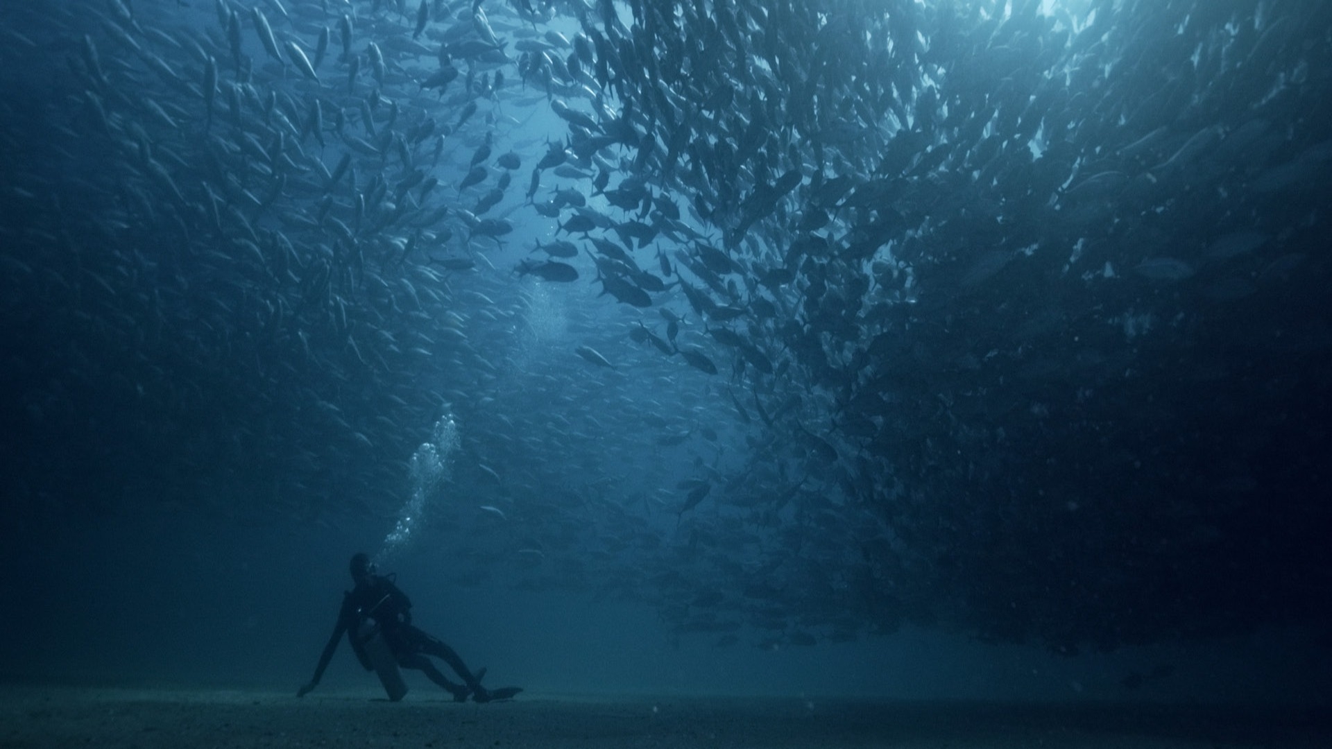Film backdrop for Vorpremiere: La Leggerezza Sommersa