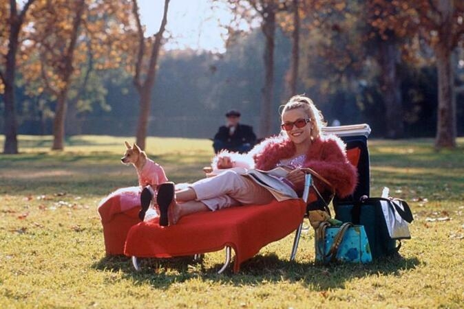 Film backdrop for Cinema Ciao: Legally Blonde (2001)